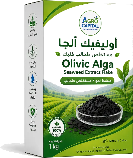أوليفك ألجا