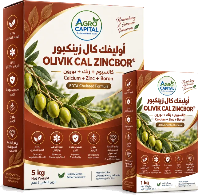 أوليفك كال زنك بور