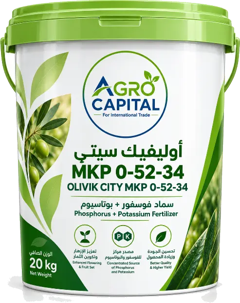 أوليفك سيتي MKP 0-52-34