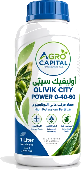 أوليفك سيتي باور 0-40-60