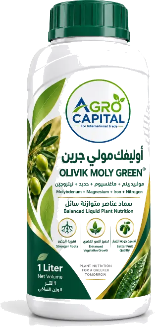 أوليفك مولي جرين