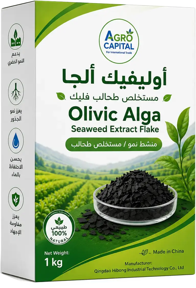 Olivic Alga